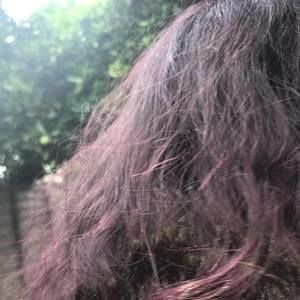 Meet your Posher, Trinity